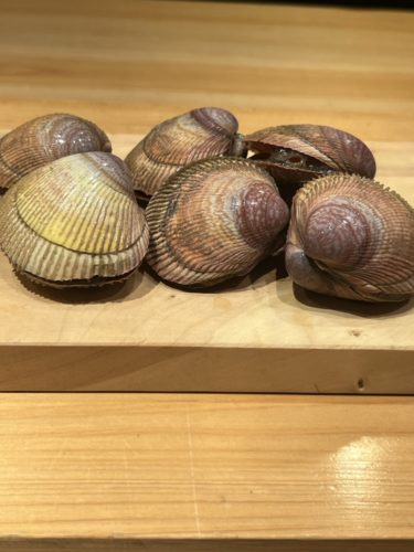 分子整流前の殻付きとりがい 鮮度の良い生の状態